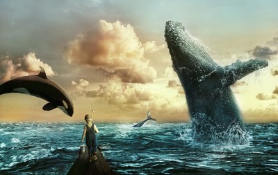 walvis, dolfijn, orka